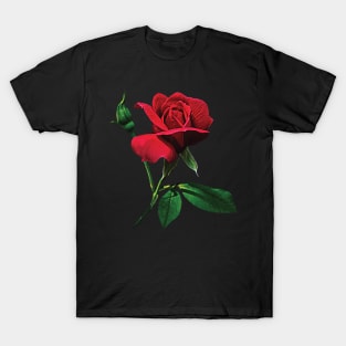 Roses - One Red Rosebud T-Shirt